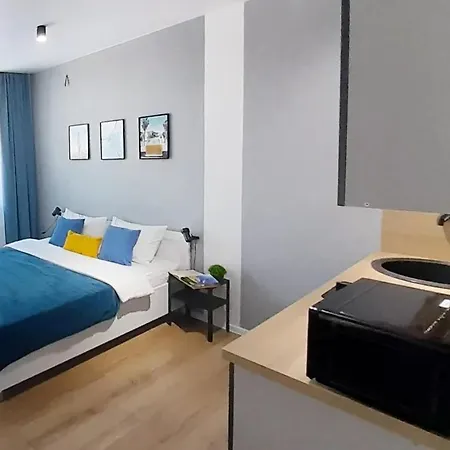 Central Avec Commodites Apartment